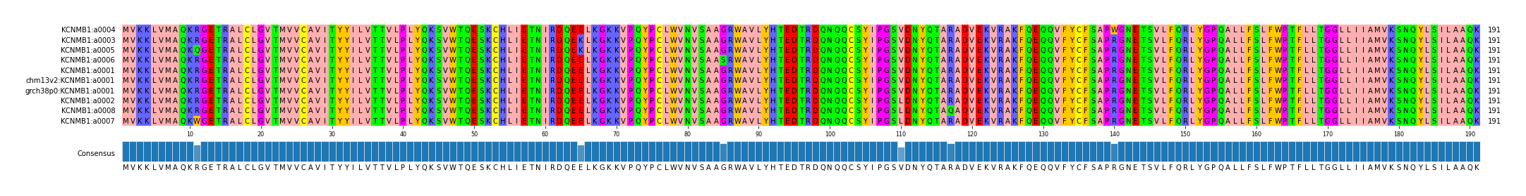 Multiple Alignments (by translate haplotype similarity)