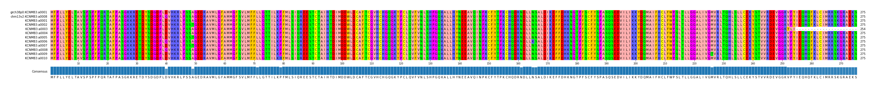 Multiple Alignments (by translate haplotype frequency)