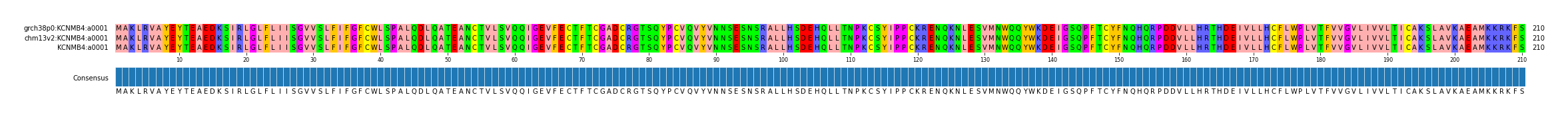 Multiple Alignments (by translate haplotype similarity)