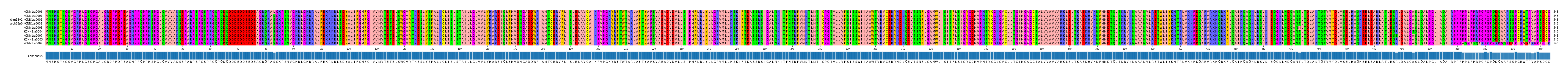 Multiple Alignments (by translate haplotype similarity)