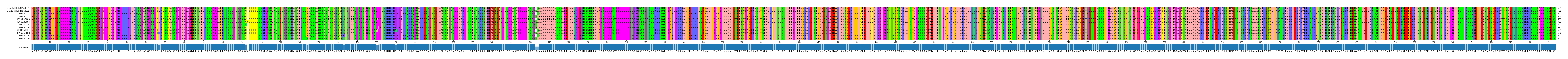 Multiple Alignments (by translate haplotype frequency)
