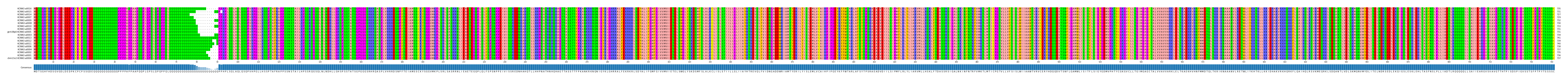 Multiple Alignments (by translate haplotype similarity)
