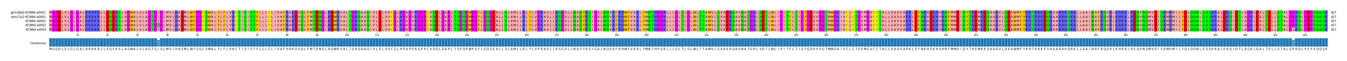 Multiple Alignments (by translate haplotype frequency)