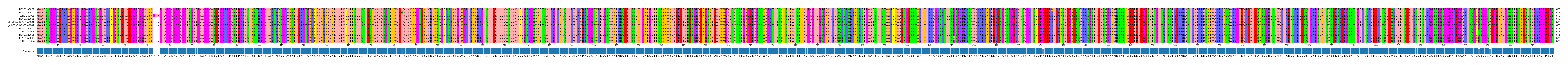 Multiple Alignments (by translate haplotype similarity)