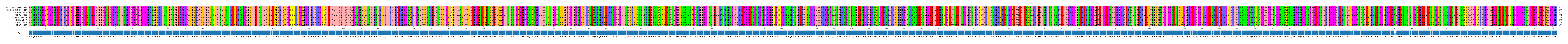 Multiple Alignments (by translate haplotype frequency)