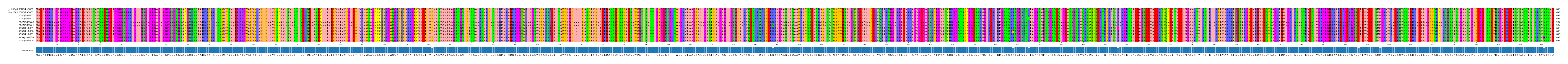 Multiple Alignments (by translate haplotype frequency)