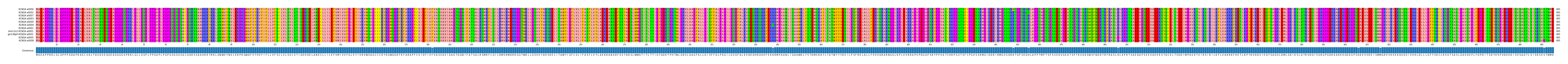 Multiple Alignments (by translate haplotype similarity)