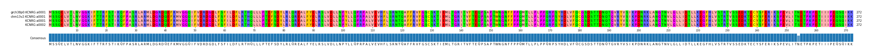 Multiple Alignments (by translate haplotype similarity)