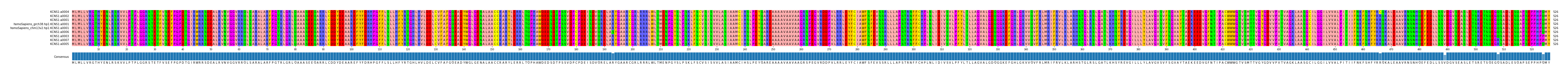 Multiple Alignments (by translate haplotype similarity)