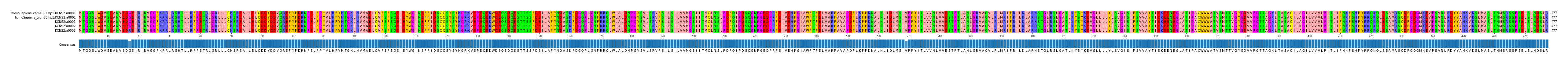 Multiple Alignments (by translate haplotype frequency)