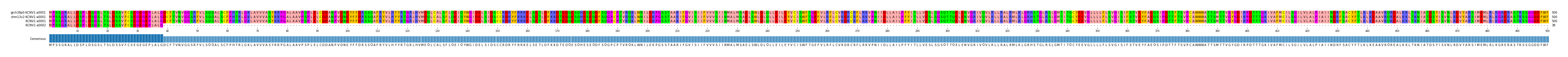 Multiple Alignments (by translate haplotype similarity)