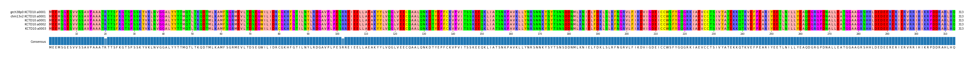 Multiple Alignments (by translate haplotype frequency)