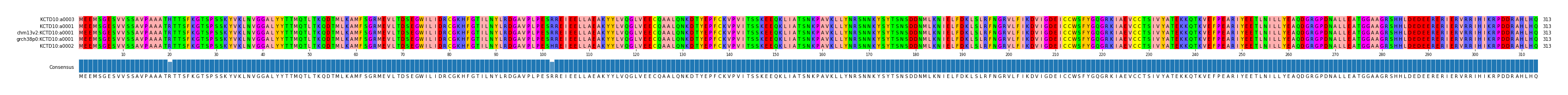 Multiple Alignments (by translate haplotype similarity)
