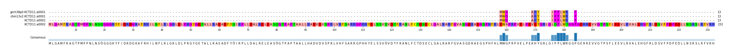 Multiple Alignments (by translate haplotype similarity)