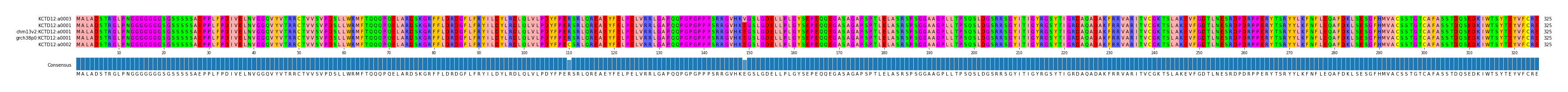 Multiple Alignments (by translate haplotype similarity)