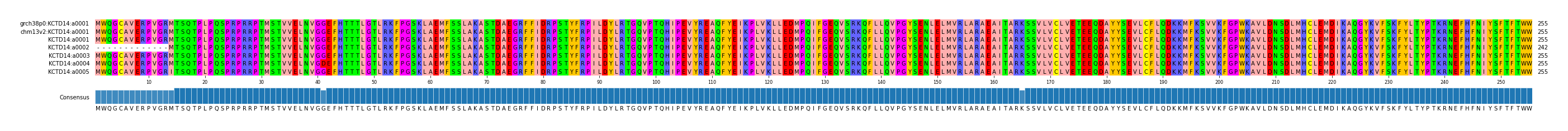 Multiple Alignments (by translate haplotype frequency)