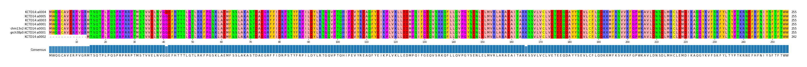 Multiple Alignments (by translate haplotype similarity)