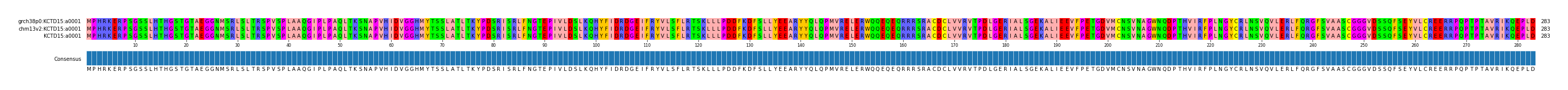 Multiple Alignments (by translate haplotype similarity)