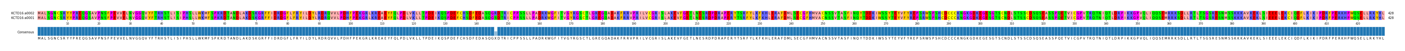 Multiple Alignments (by translate haplotype similarity)