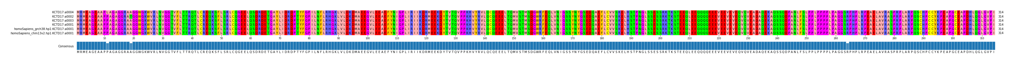 Multiple Alignments (by translate haplotype similarity)