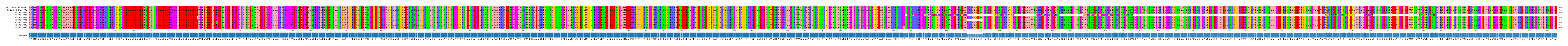 Multiple Alignments (by translate haplotype frequency)