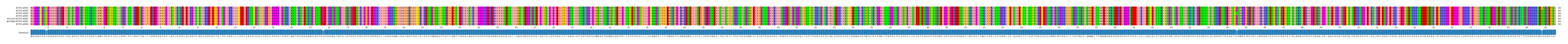 Multiple Alignments (by translate haplotype similarity)