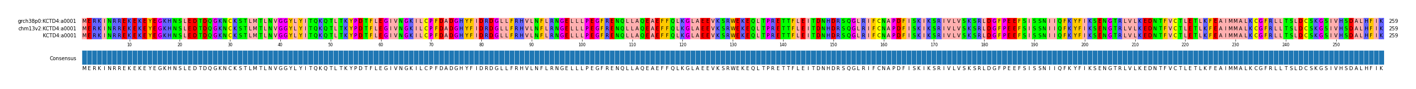 Multiple Alignments (by translate haplotype similarity)