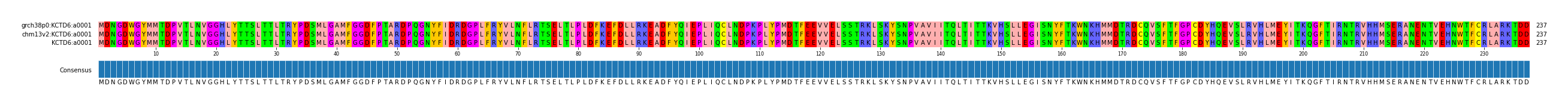 Multiple Alignments (by translate haplotype similarity)