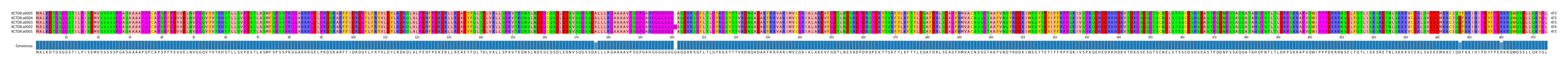 Multiple Alignments (by translate haplotype similarity)