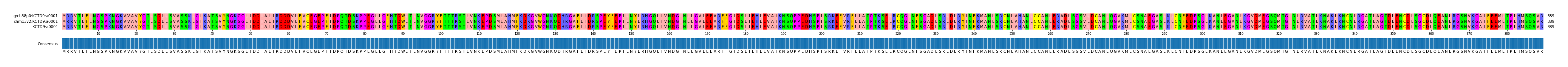 Multiple Alignments (by translate haplotype similarity)