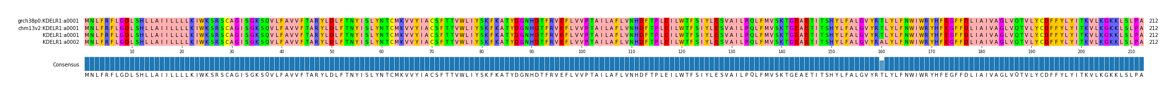 Multiple Alignments (by translate haplotype similarity)