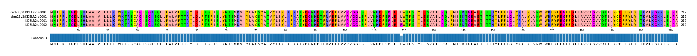 Multiple Alignments (by translate haplotype frequency)