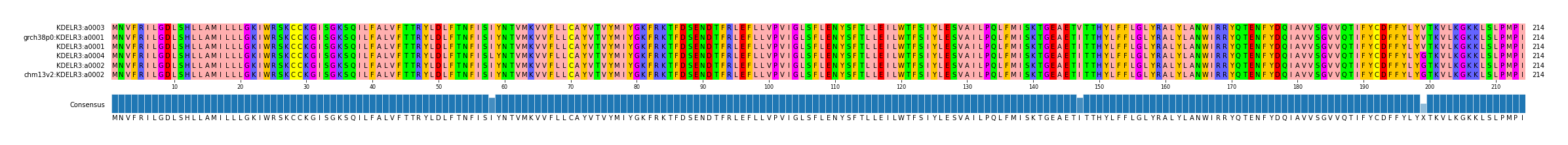 Multiple Alignments (by translate haplotype similarity)