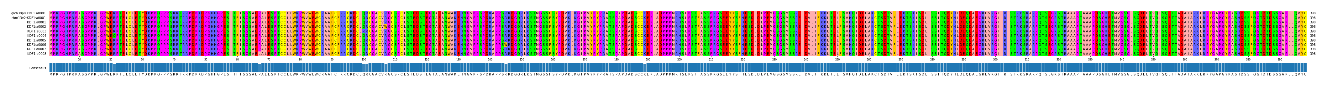 Multiple Alignments (by translate haplotype frequency)
