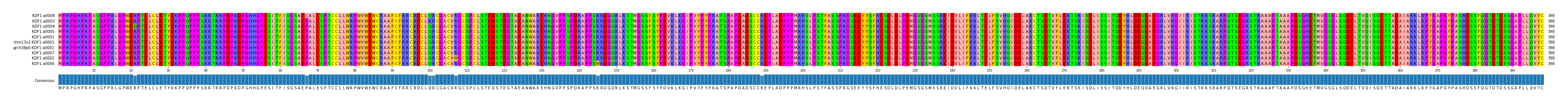 Multiple Alignments (by translate haplotype similarity)