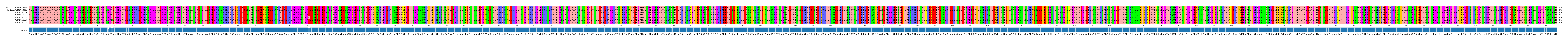 Multiple Alignments (by translate haplotype frequency)