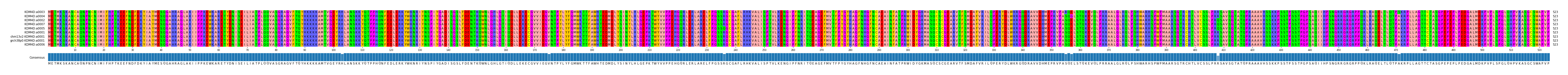 Multiple Alignments (by translate haplotype similarity)