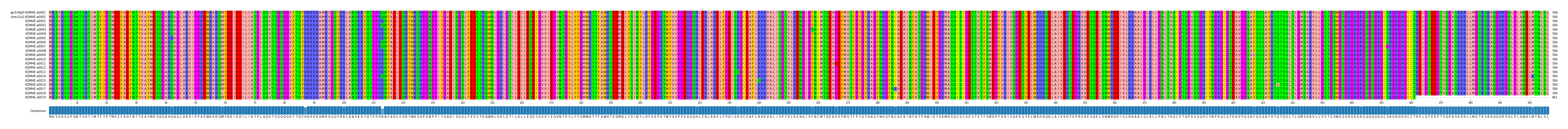 Multiple Alignments (by translate haplotype frequency)