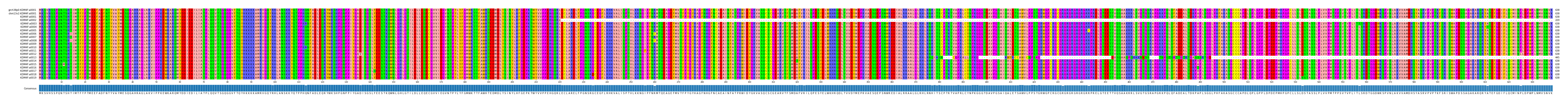 Multiple Alignments (by translate haplotype frequency)