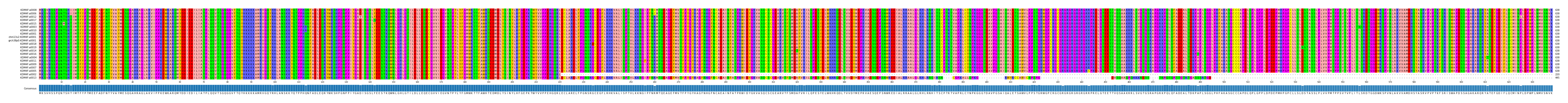 Multiple Alignments (by translate haplotype similarity)