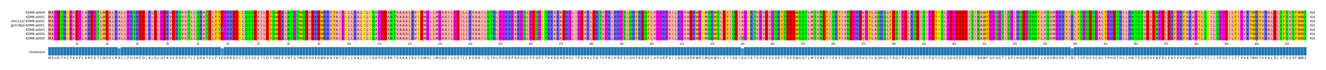 Multiple Alignments (by translate haplotype similarity)