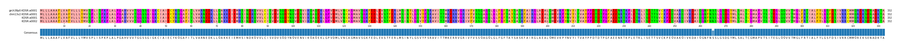 Multiple Alignments (by translate haplotype similarity)