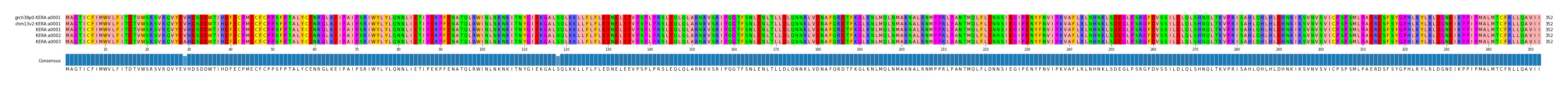 Multiple Alignments (by translate haplotype frequency)