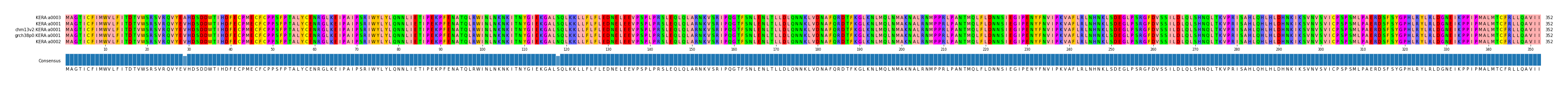 Multiple Alignments (by translate haplotype similarity)