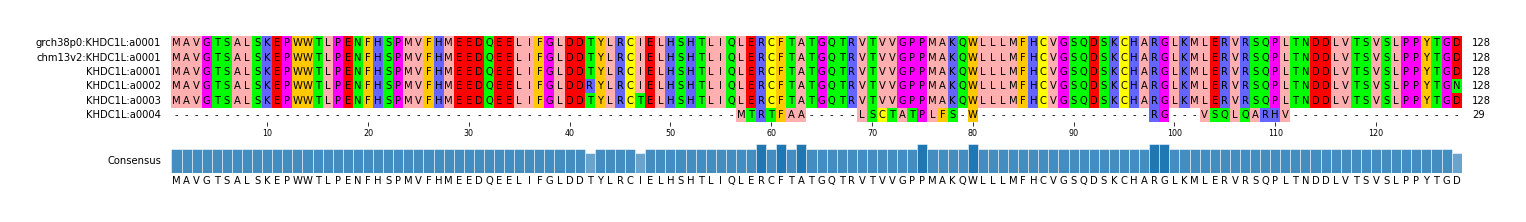 Multiple Alignments (by translate haplotype frequency)