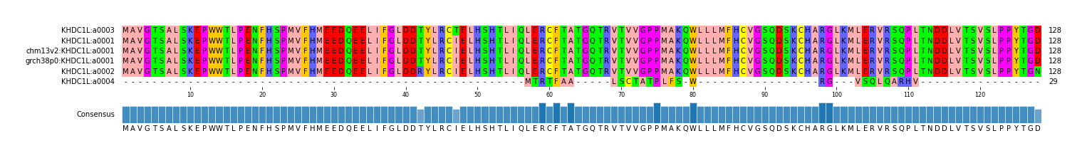 Multiple Alignments (by translate haplotype similarity)