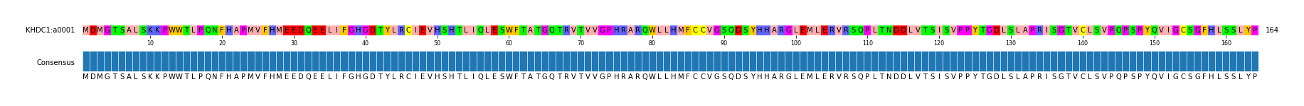 Multiple Alignments (by translate haplotype similarity)