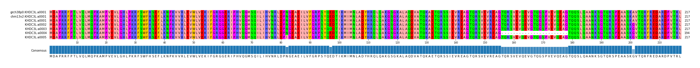 Multiple Alignments (by translate haplotype frequency)