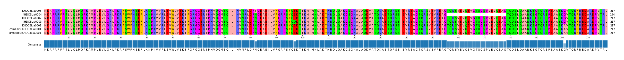 Multiple Alignments (by translate haplotype similarity)