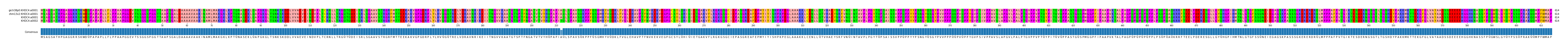 Multiple Alignments (by translate haplotype similarity)